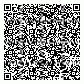 vCard 79807253217