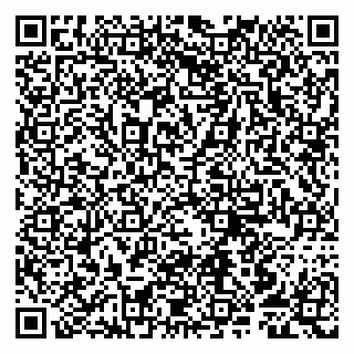 vCard 79807253297