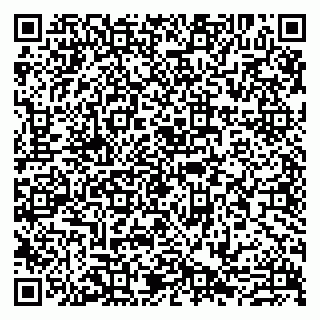 vCard 79807253300