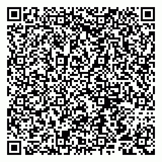 vCard 79807253313