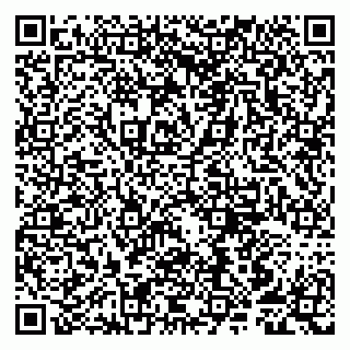 vCard 79807253335