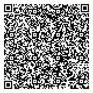 vCard 79807253385