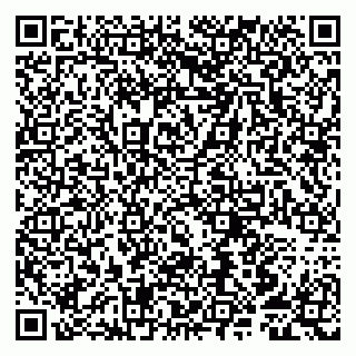 vCard 79807253467