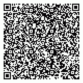vCard 79807253509