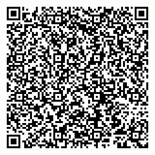 vCard 79807253539