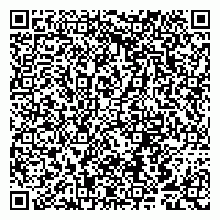 vCard 79807253587