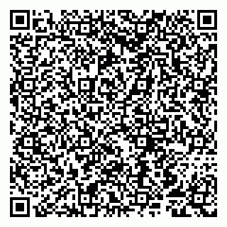 vCard 79807253696