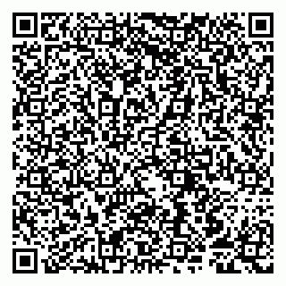 vCard 79807253800