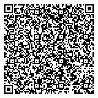 vCard 79807253808