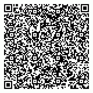 vCard 79807253819