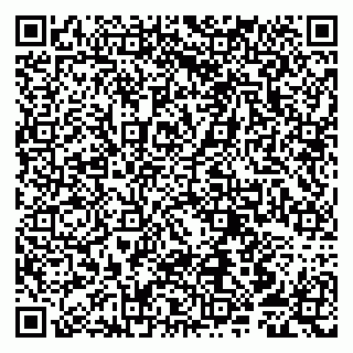 vCard 79807253831