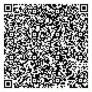 vCard 79807253838