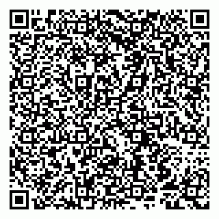 vCard 79807253879