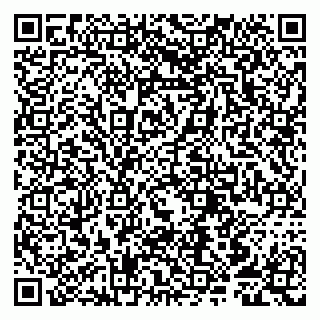 vCard 79807253887