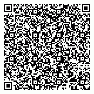 vCard 79807253900