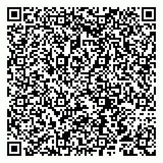 vCard 79807253917