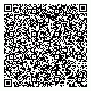 vCard 79807253937