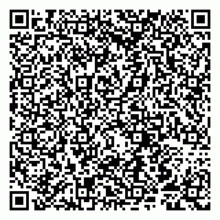 vCard 79807253979