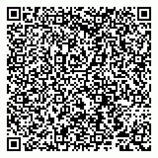 vCard 79807253985