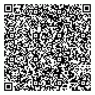 vCard 79807253987