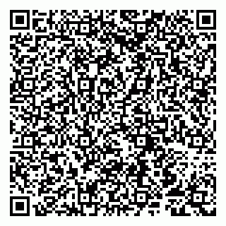 vCard 79807255871