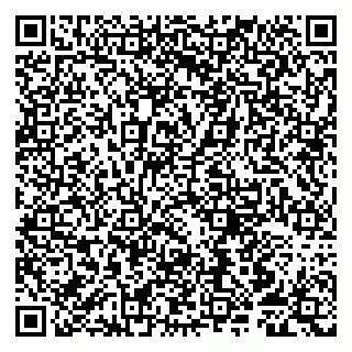 vCard 79807256735