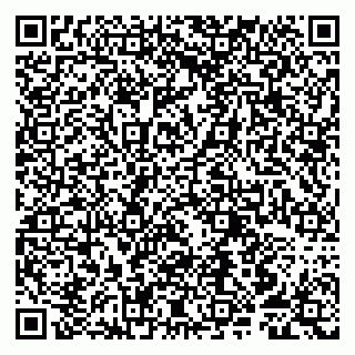 vCard 79807256833