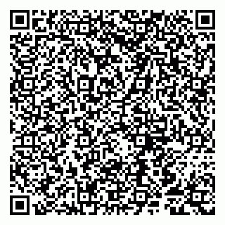 vCard 79807257381