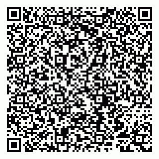 vCard 79807257987