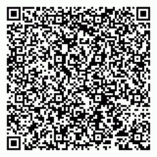 vCard 79807258411