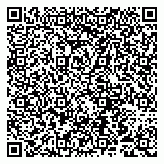 vCard 79807258723