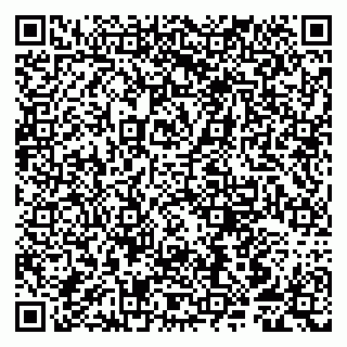 vCard 79807258732
