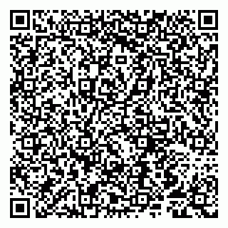 vCard 79807258739