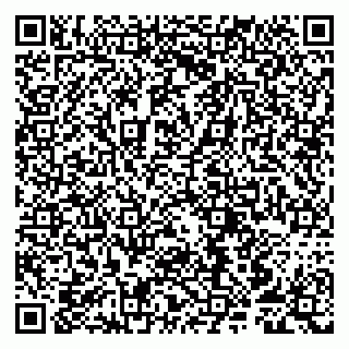 vCard 79807258817