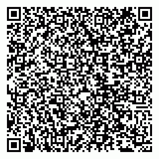 vCard 79807258931