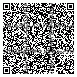 vCard 79807259003