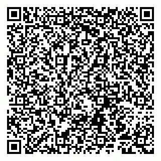 vCard 79807259133