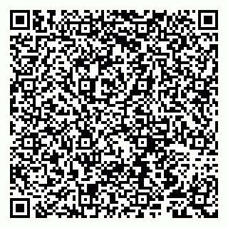 vCard 79807259177