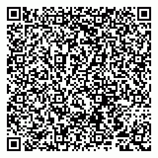 vCard 79807259187