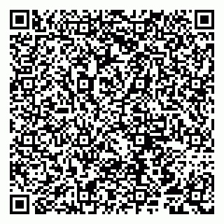 vCard 79807259203