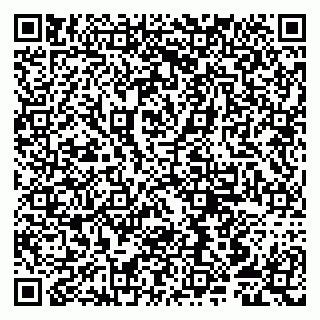 vCard 79807259204