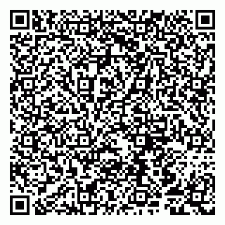 vCard 79807259313