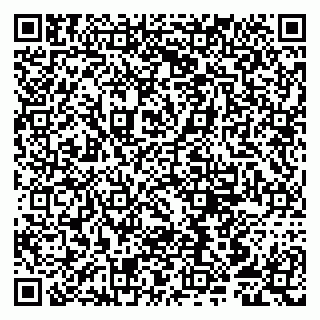 vCard 79807259380