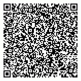 vCard 79807259387
