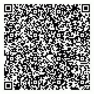vCard 79807259520