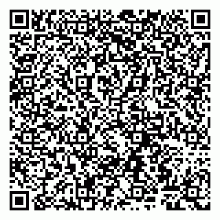 vCard 79807260025
