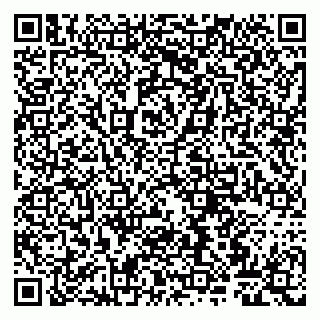 vCard 79807260040