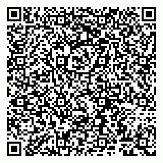 vCard 79807260041