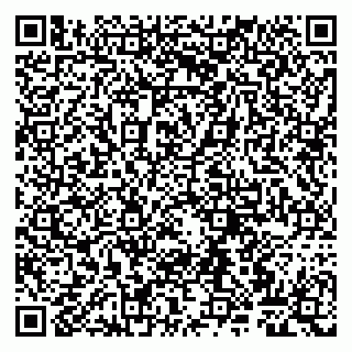 vCard 79807260080