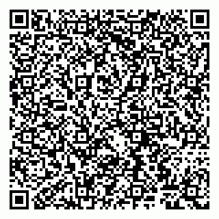 vCard 79807260095